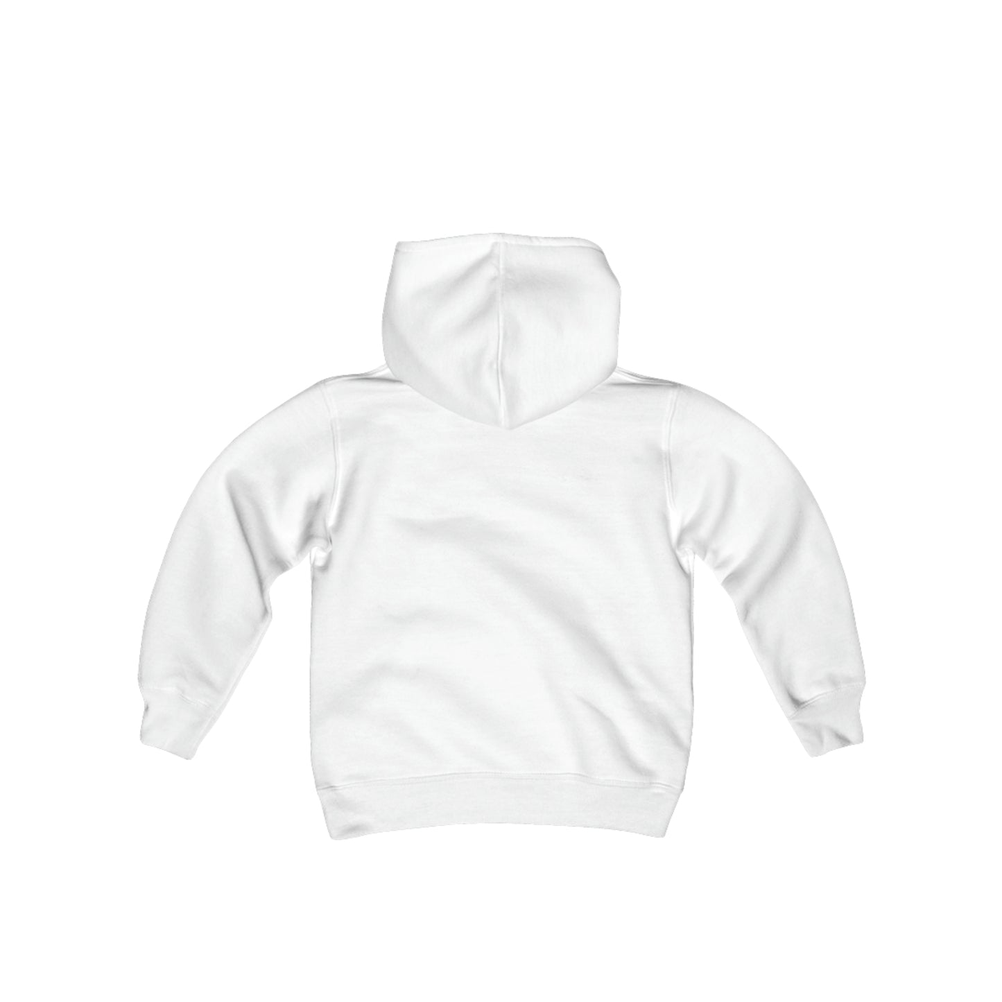 Youth Heavy Blend Hooded Sweatshirt - PC2