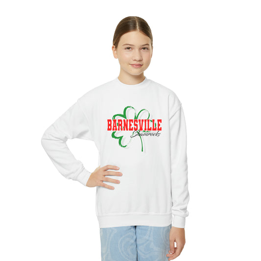 Youth Crewneck Sweatshirt - B1